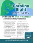 Carolina Bight Estuary Sheet